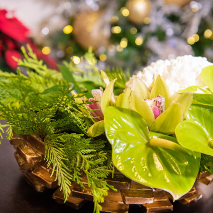 A green floral display as part of the Christmas wonderland package.